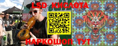индика Кулебаки