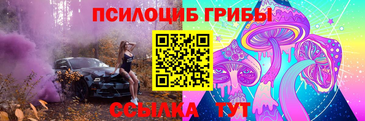 Галлюциногенные грибы Psilocybine cubensis  Вход с VPN  Кисловодск 